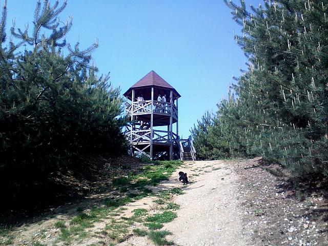 A na vrcholu rozhledna.