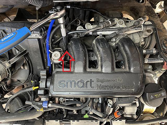 Smart pet5 0383
