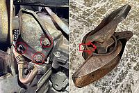 Smart pet5 0528
