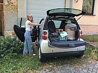 Smart pet5 0287
