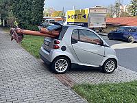 Smart pet5 0909